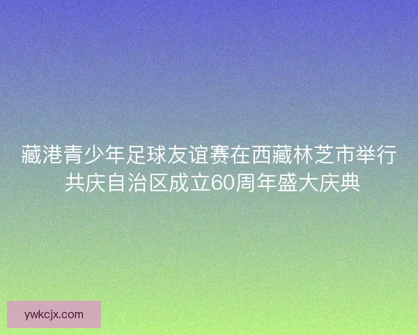 藏港青少年足球友谊赛在西藏林芝市举行 共庆自治区成立60周年盛大庆典 藏港青少年足球友谊赛在西藏林芝市举行 共庆自治区成立60周年盛大庆典