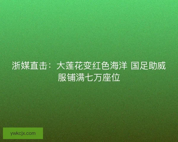 浙媒直击：大莲花变红色海洋 国足助威服铺满七万座位